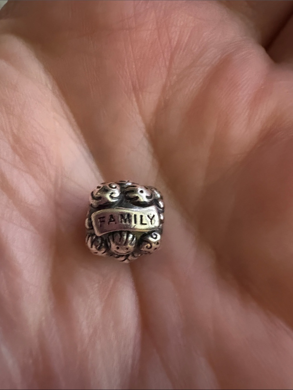 Pandora family/love charm